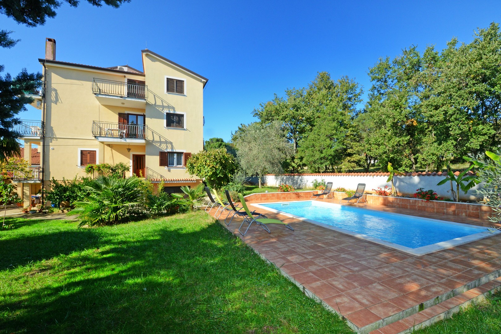 Apartments with pool Albina / Apartment with pool    Umag